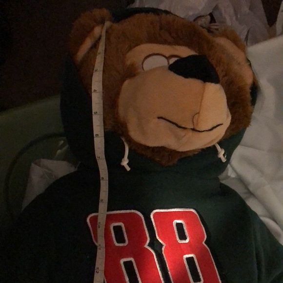 Dale Jr #88 stuffed bear - NASCAR - Picture 7 of 8